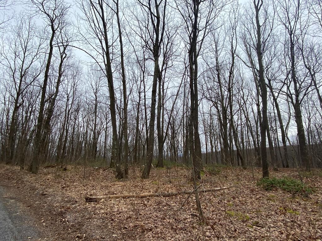 Property Photo: Off Rocklick Road PA 15554