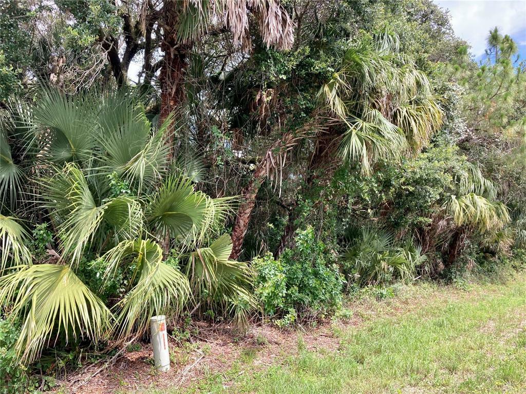 Property Photo:  329 Shoreland Street  FL 33954 