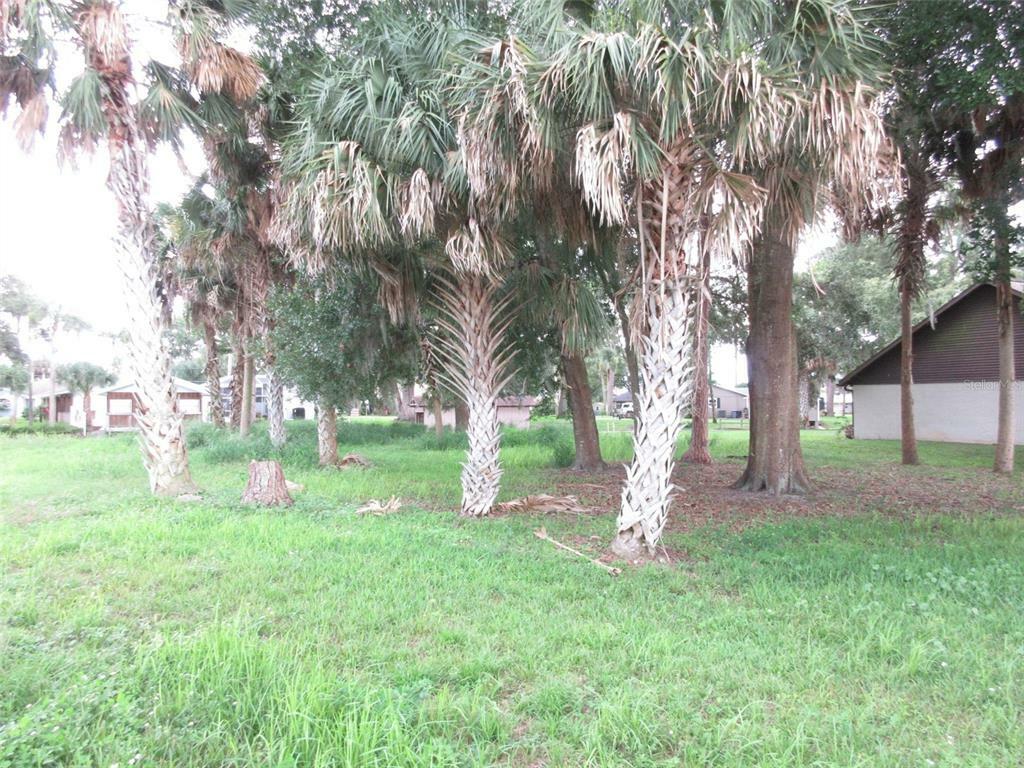 Property Photo:  0 SE Ocale Way/Timucuan Road  FL 34491 