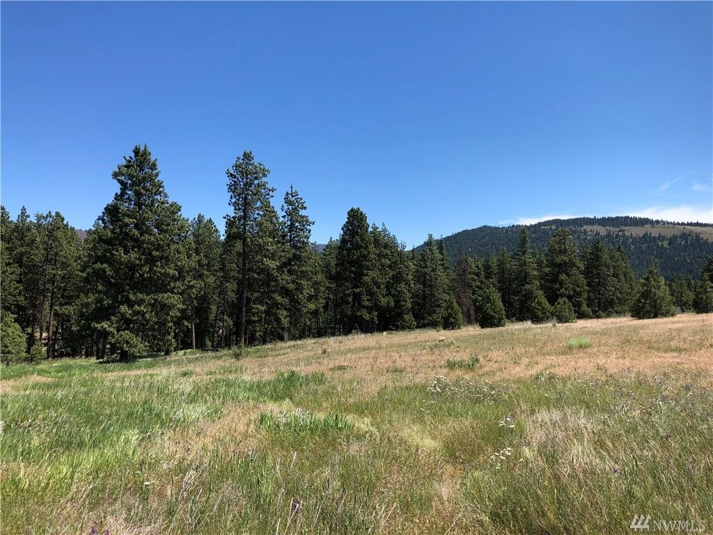 Property Photo: Xxx Mountain Creek Dr WA 98922