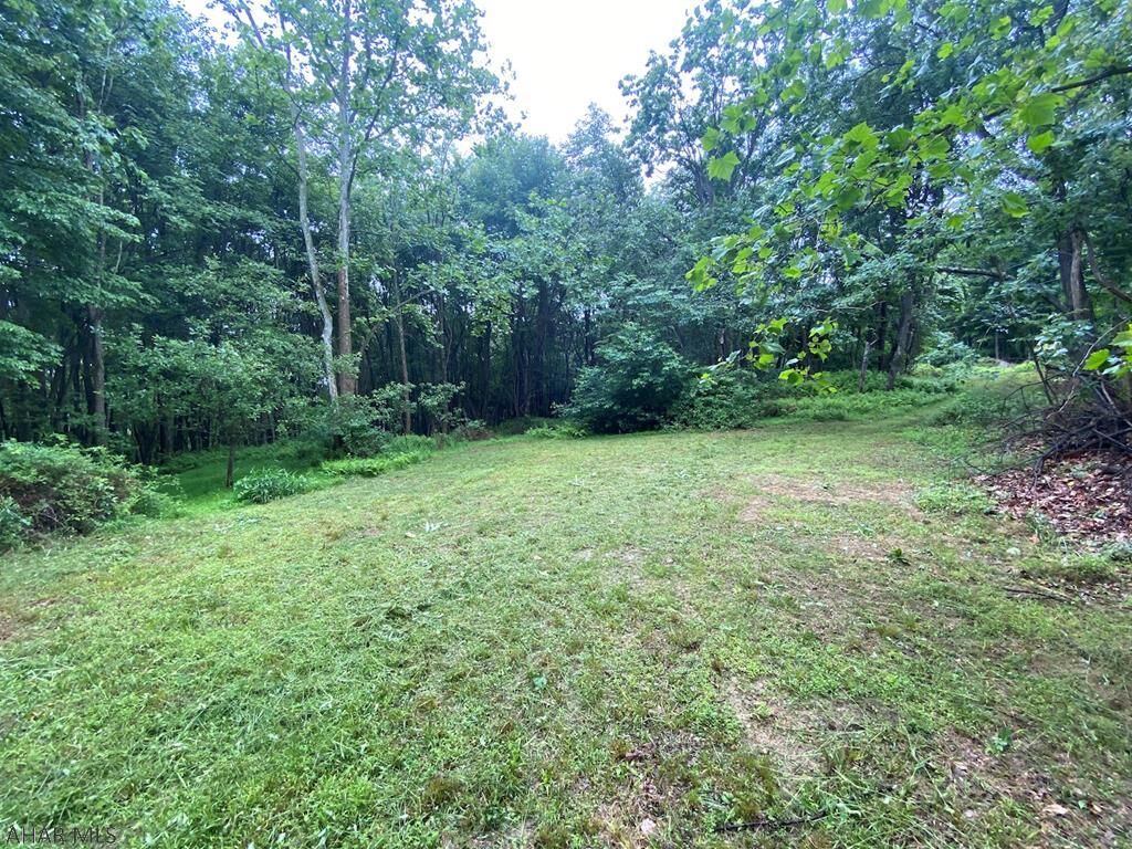 Property Photo:  Off Cherry Run Road  PA 15522 