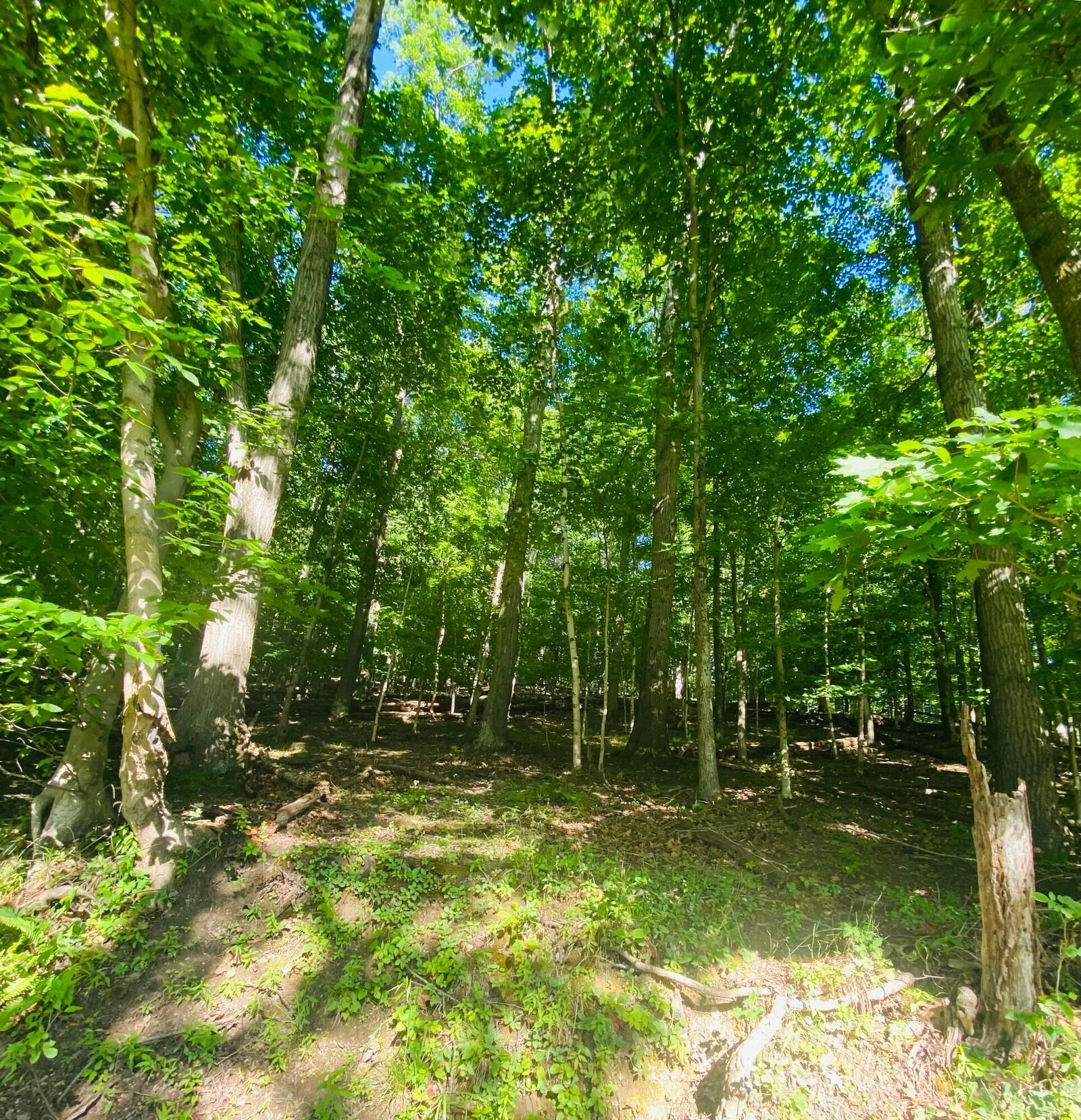 Property Photo:  5 Hide-A-Way Hills  OH 43155 