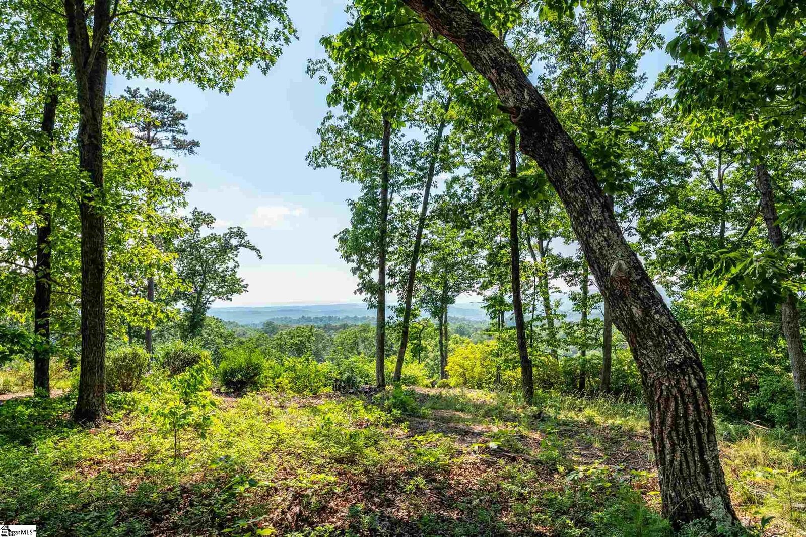 Property Photo: 121 Parkview Lane SC 29685