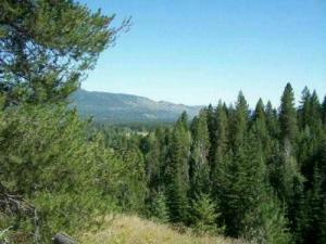 Lot 4 Schlegel Ranch Rd  Ione WA 99139 photo