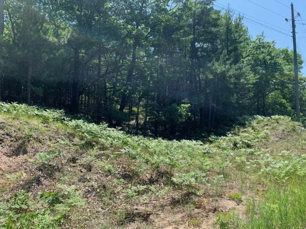 Property Photo:  Parcel 3 Sturgeon Bay  MI 49740 