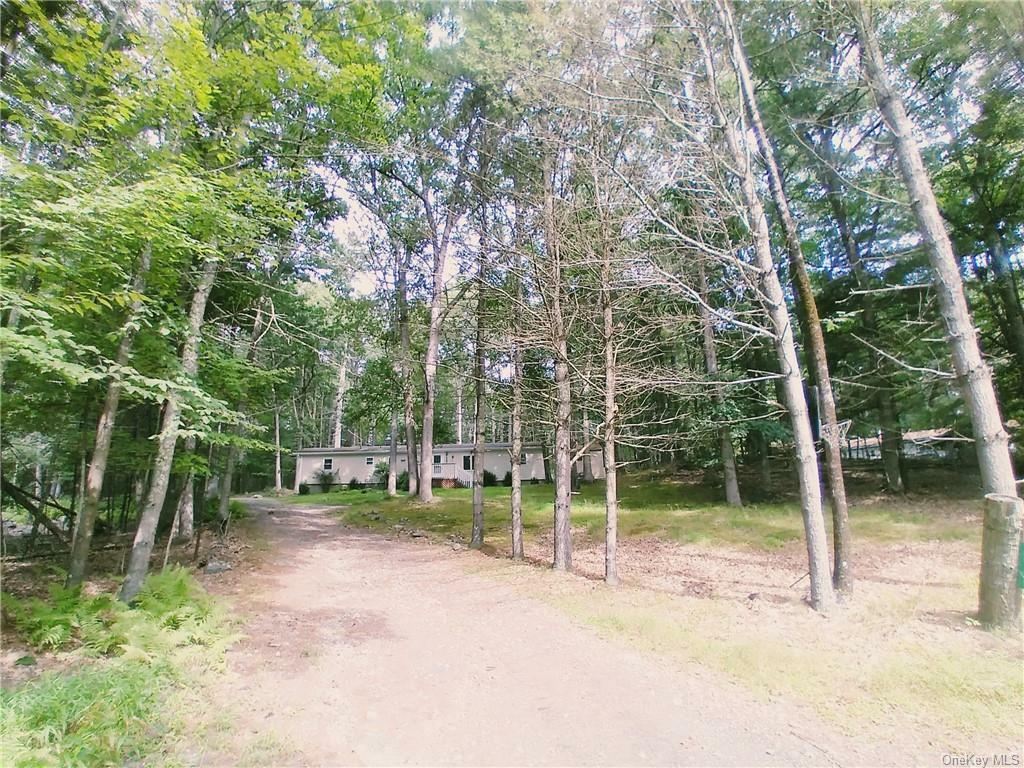 Property Photo:  29 Kern Road  NY 12719 