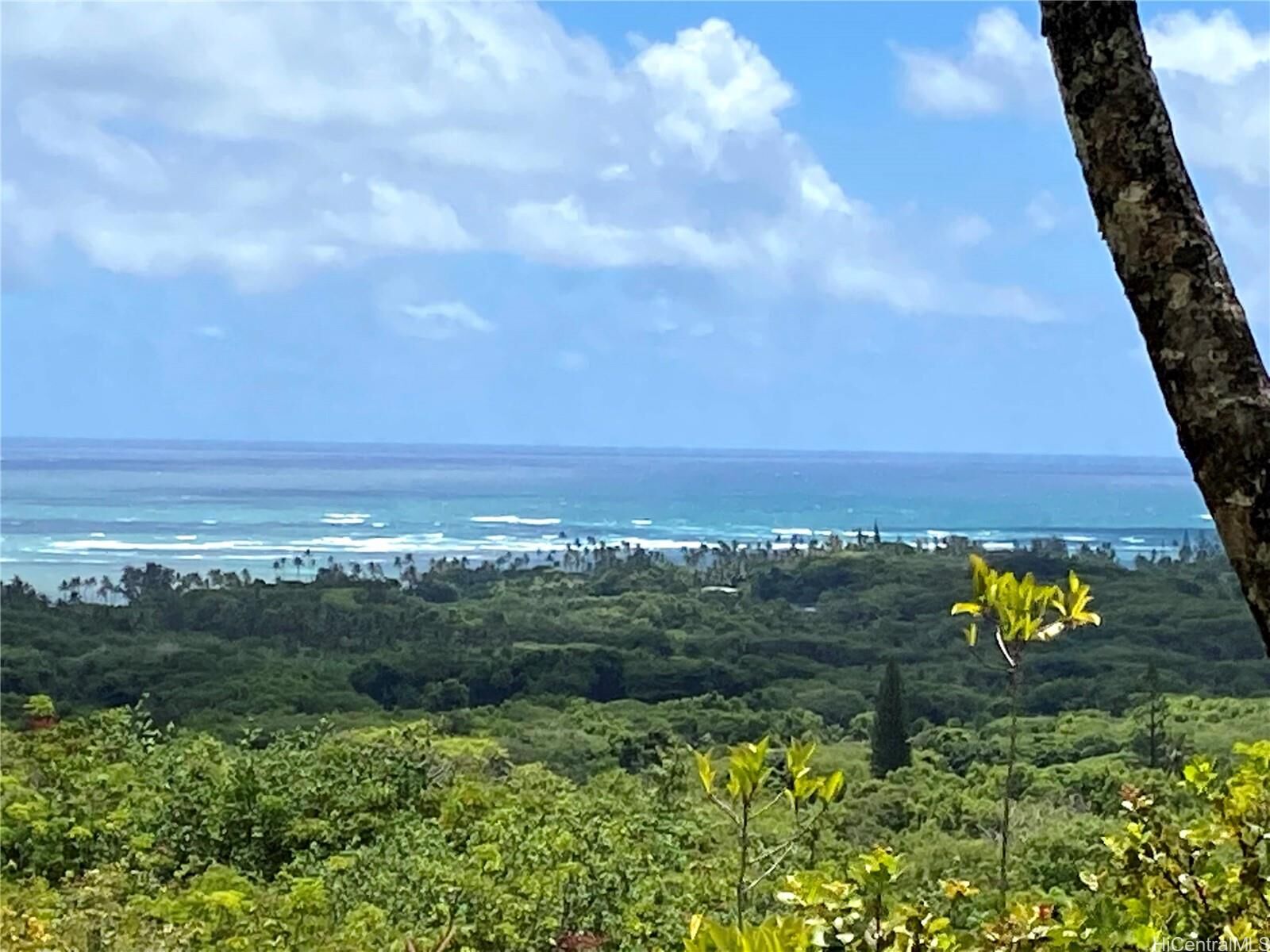 Property Photo:  53-372M Kamehameha Highway 6 And 11  HI 96717 