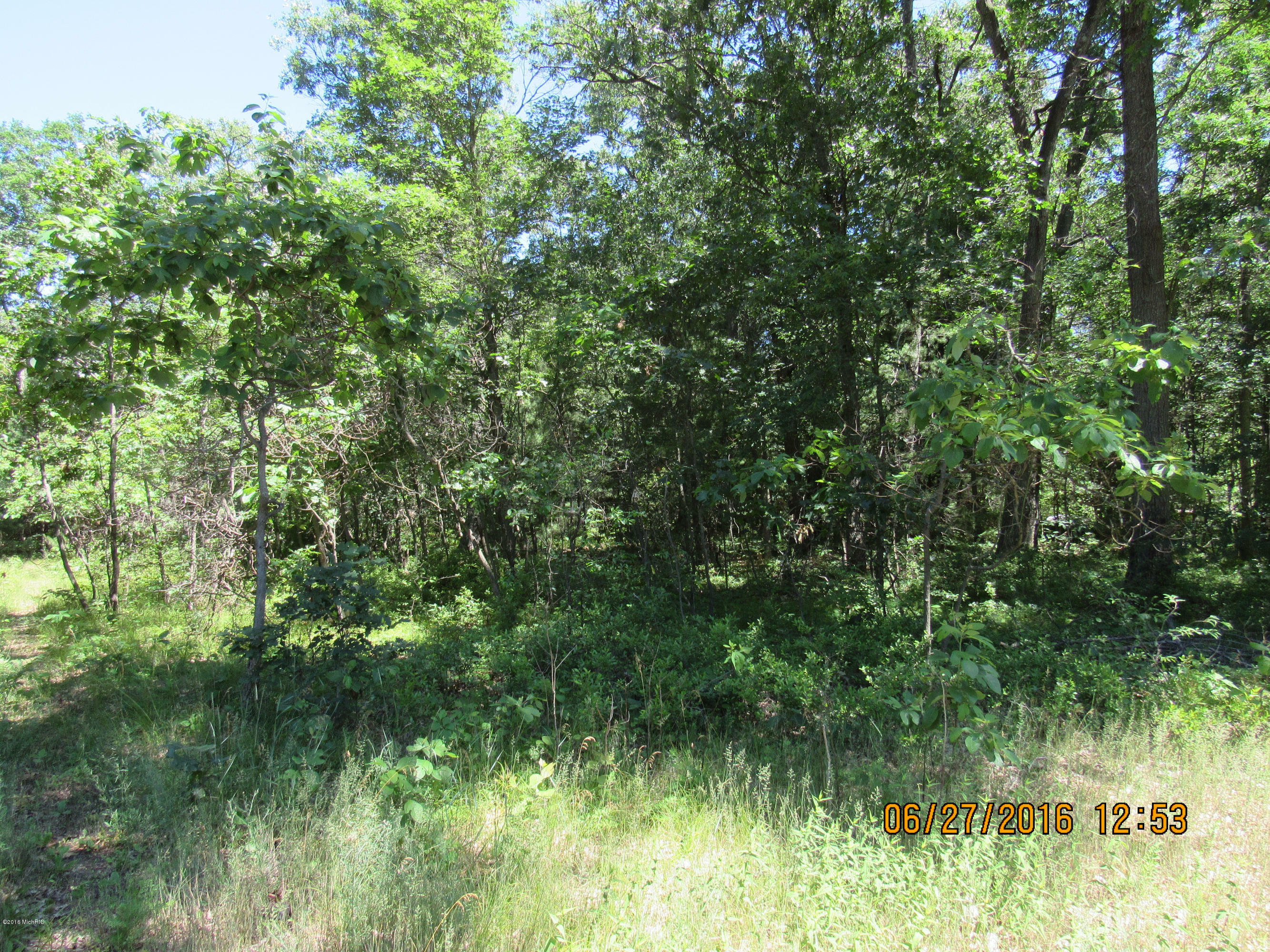 Property Photo:  Crystal Lake Road  MI 49425 