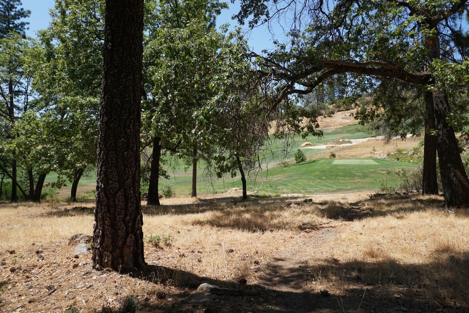 Property Photo: 1430 Lodge View Drive CA 95722
