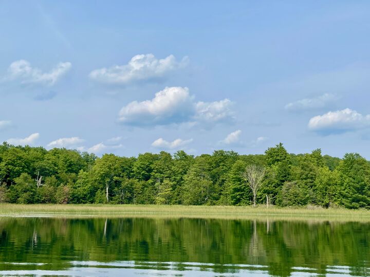 803 Guenther Ridge  Gaylord MI 49735 photo