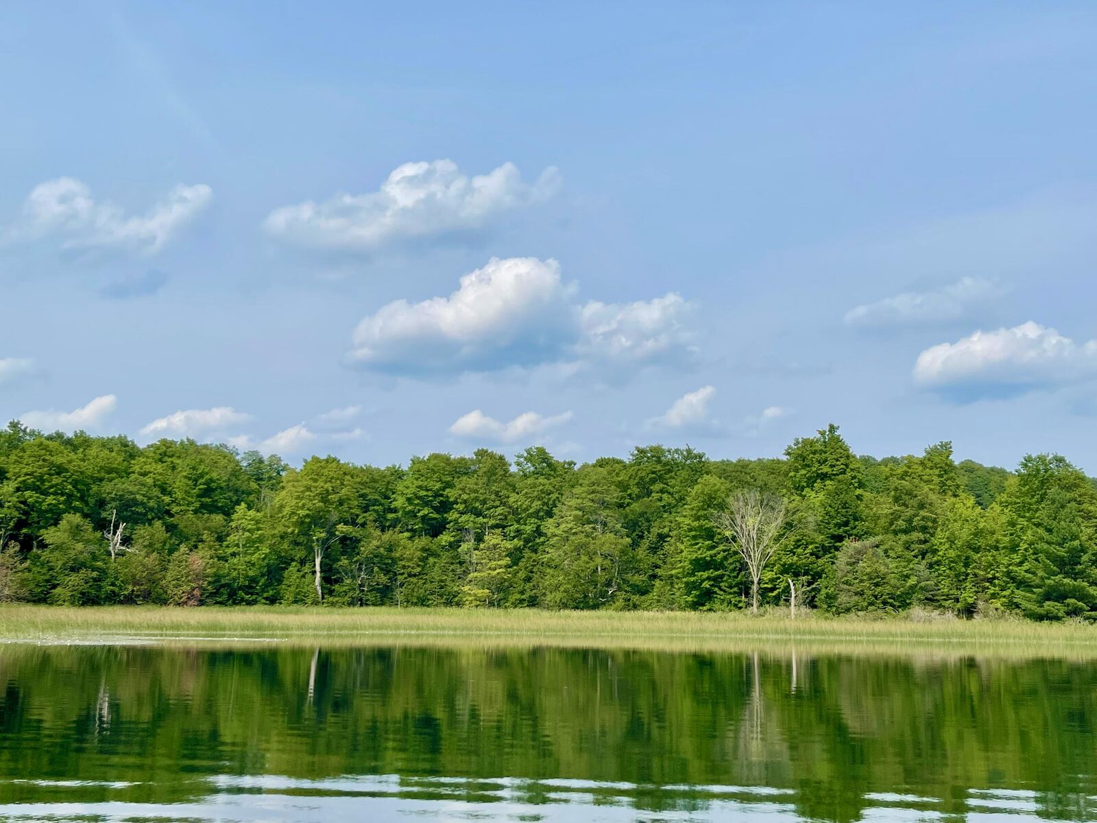 Property Photo:  803 Guenther Ridge  MI 49735 
