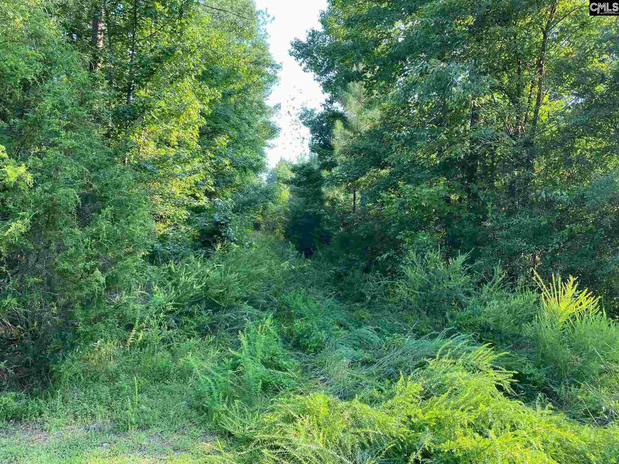 Property Photo:  St Highway 34 E  SC 29130 