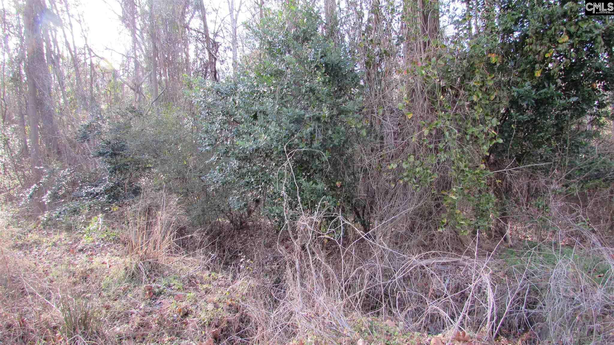 Property Photo: 400 Harmon SC 29072