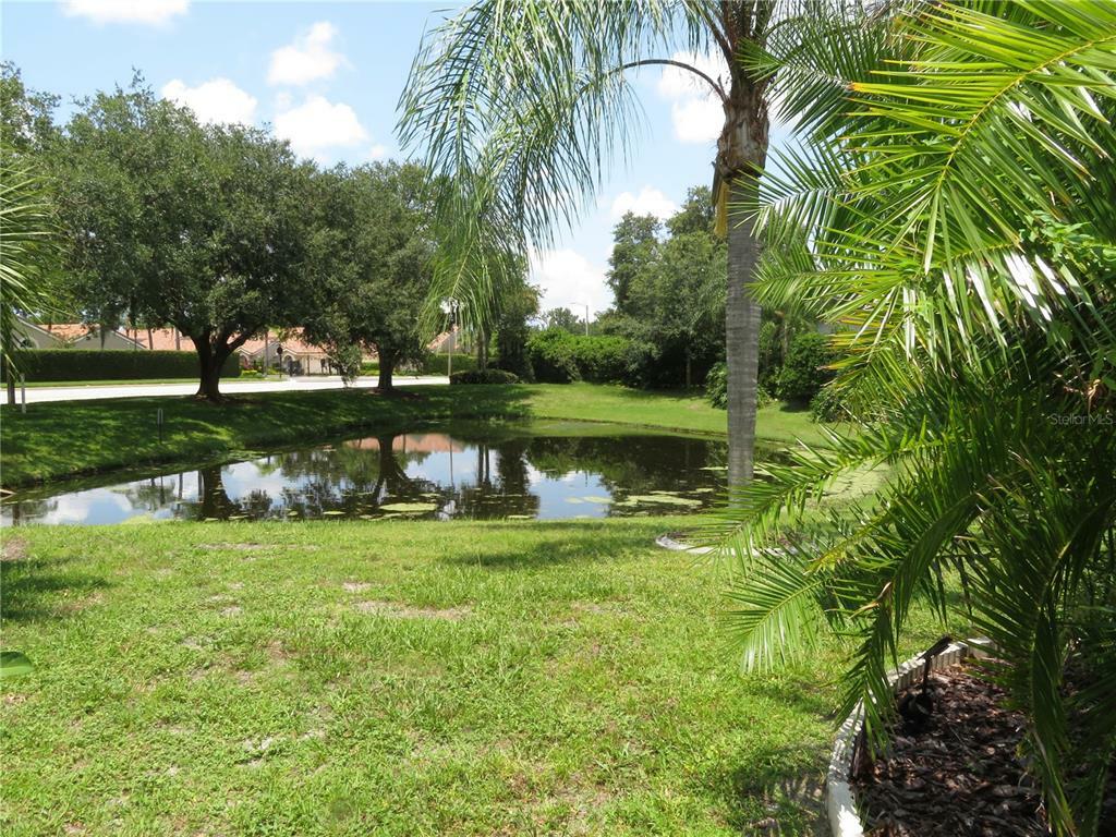 Property Photo:  5601 Wellington Drive  FL 34685 