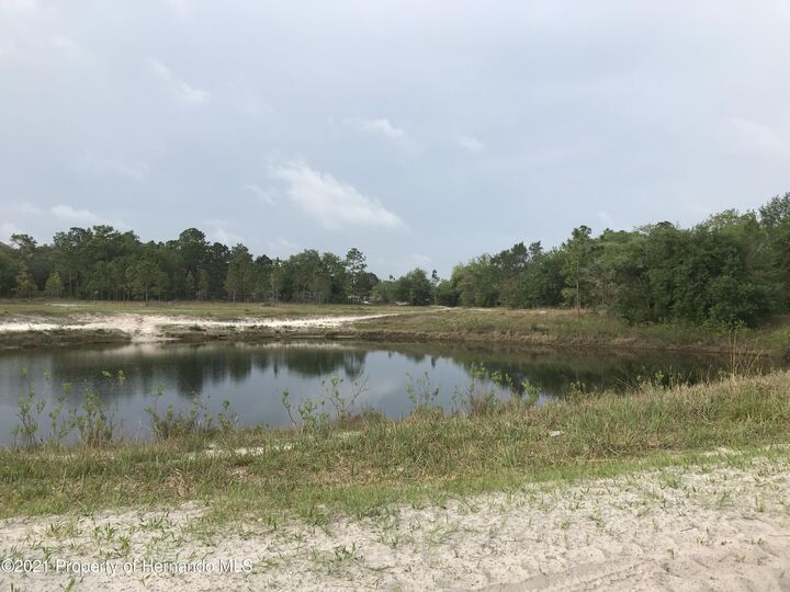 Property Photo:  0 Lomita Wren Road  FL 34614 