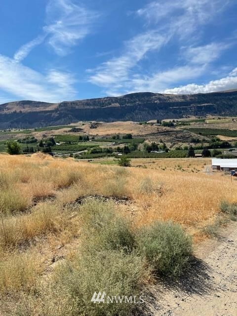 Property Photo: 19 Lot 19 Temp Rd A WA 98828