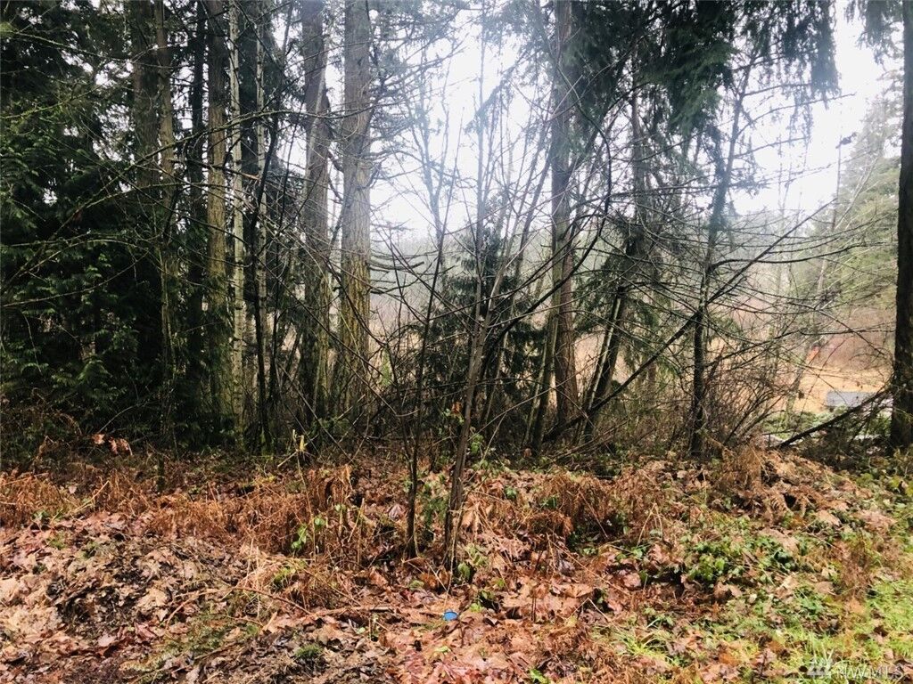 Property Photo: 17607 Clear Lake Blvd SE WA 98597