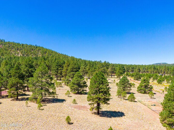 970 S Appaloosa Trail -  Williams AZ 86046 photo