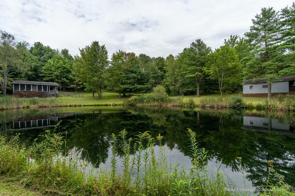 Property Photo:  350 Edgecomb Hill  NY 14893 