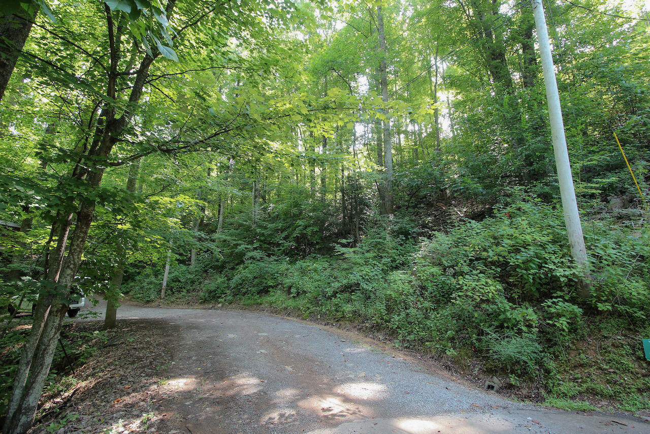 Lot 826 Orchard Dr.  Sevierville TN 37876 photo