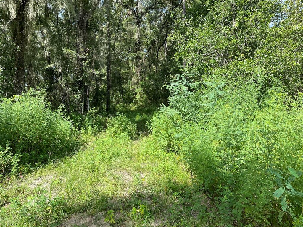 Property Photo:  12740 S Moonraker Terrace  FL 34436 