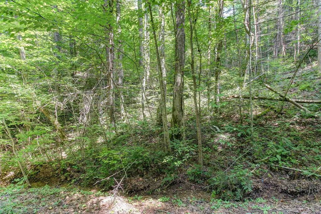 Property Photo:  Lot 56 Riversong Way  TN 37738 