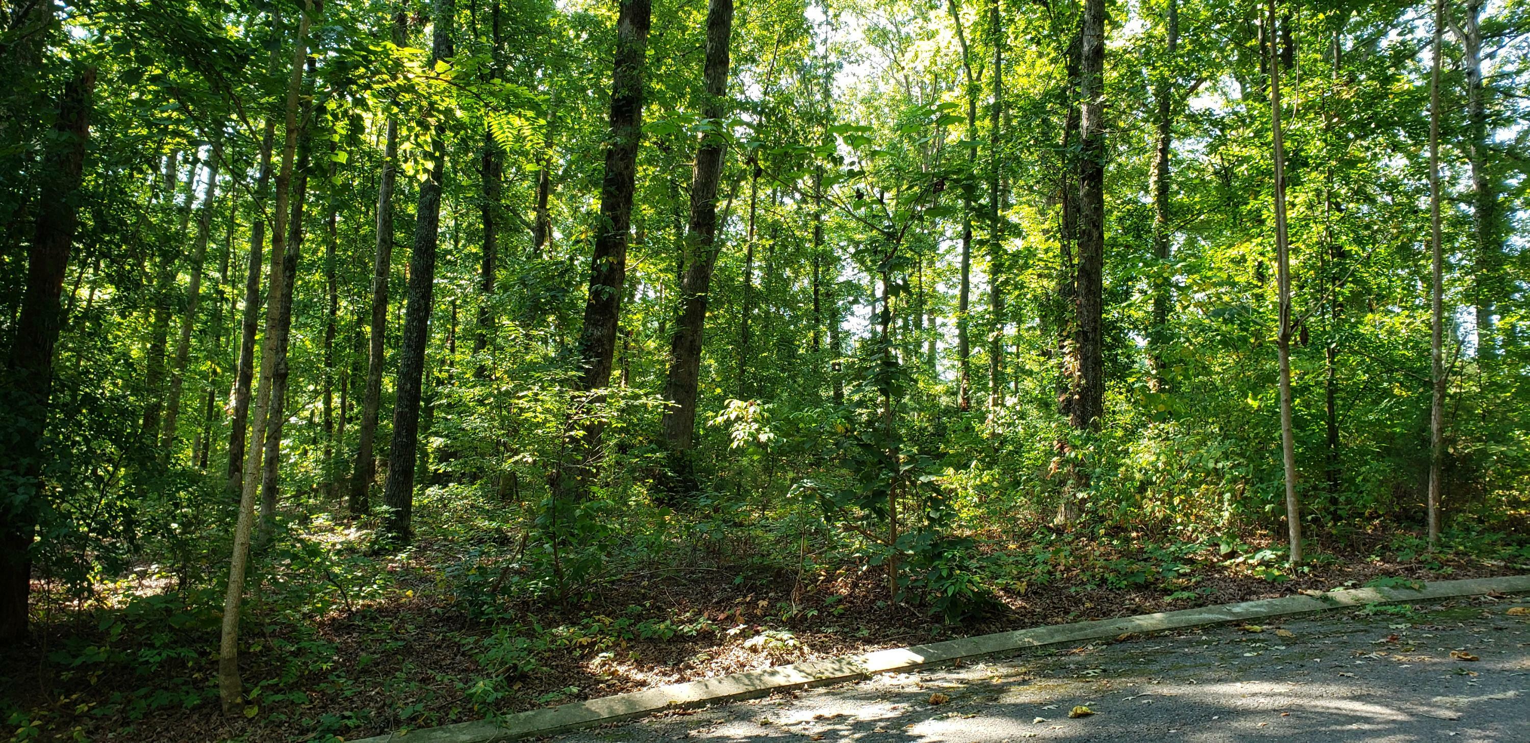 Property Photo:  0 Shady Oaks Cove  TN 37327 