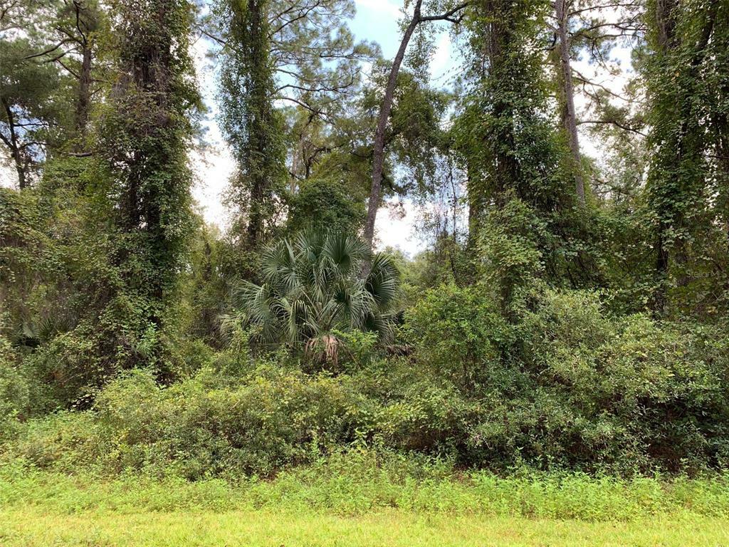 Property Photo:  8779 N Ramble Point  FL 34434 