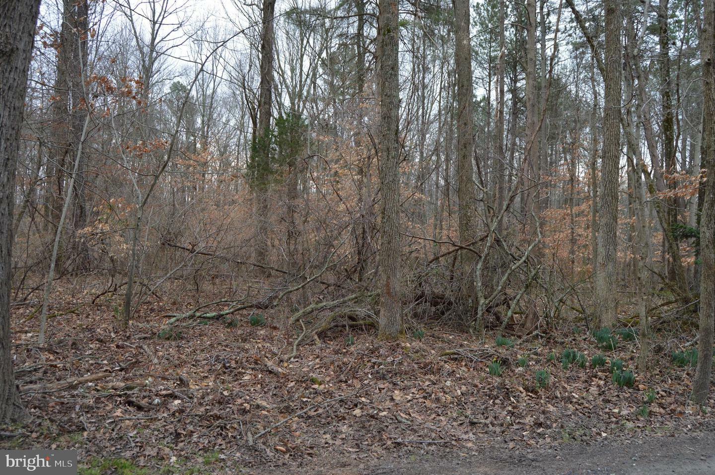 Property Photo: Brownsville Road MD 21617