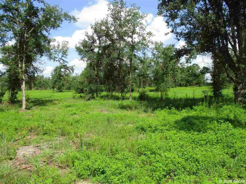 Property Photo:  Parcel 1 NW County Road 2054  FL 32615 