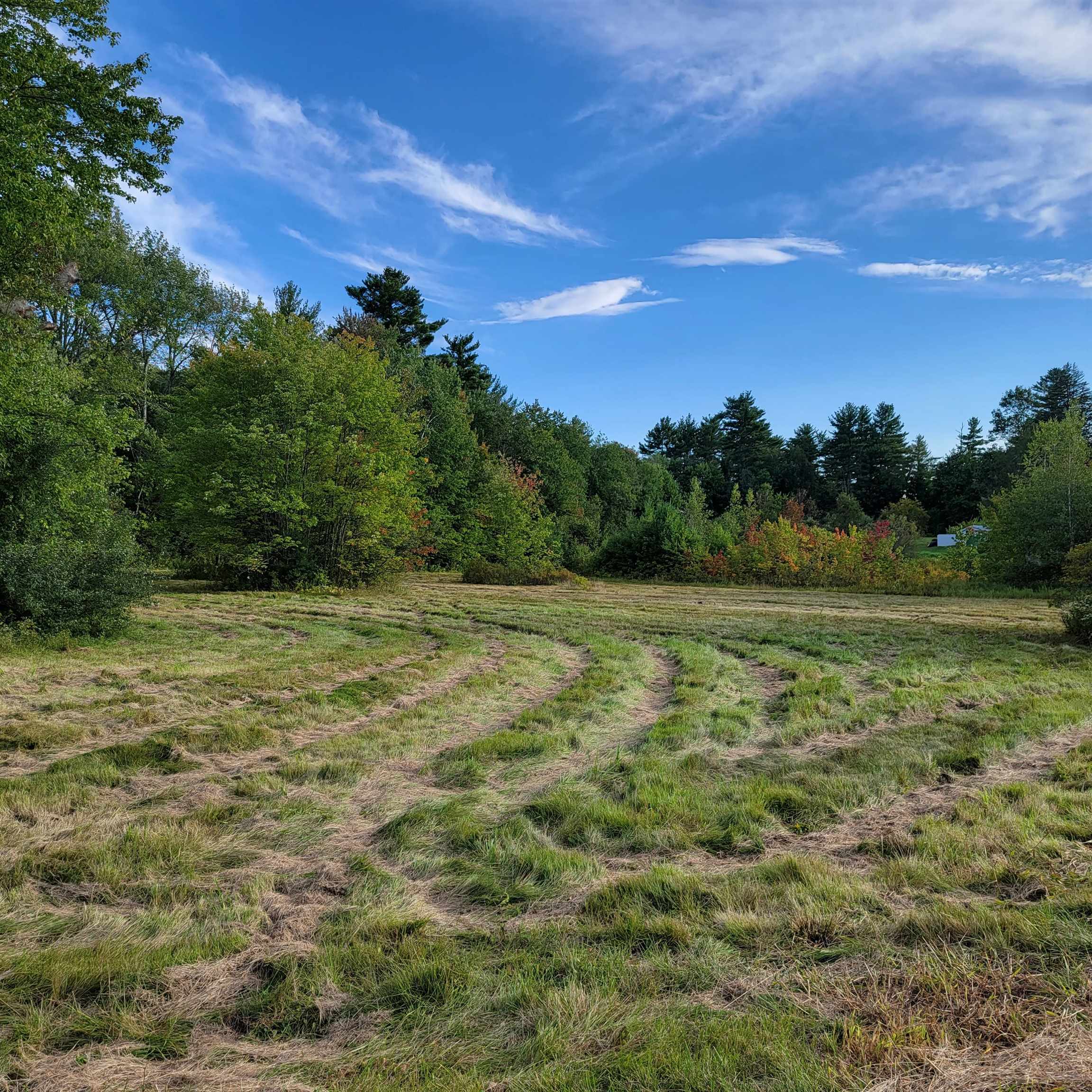 Property Photo: 0 Black Hall Road NH 03234