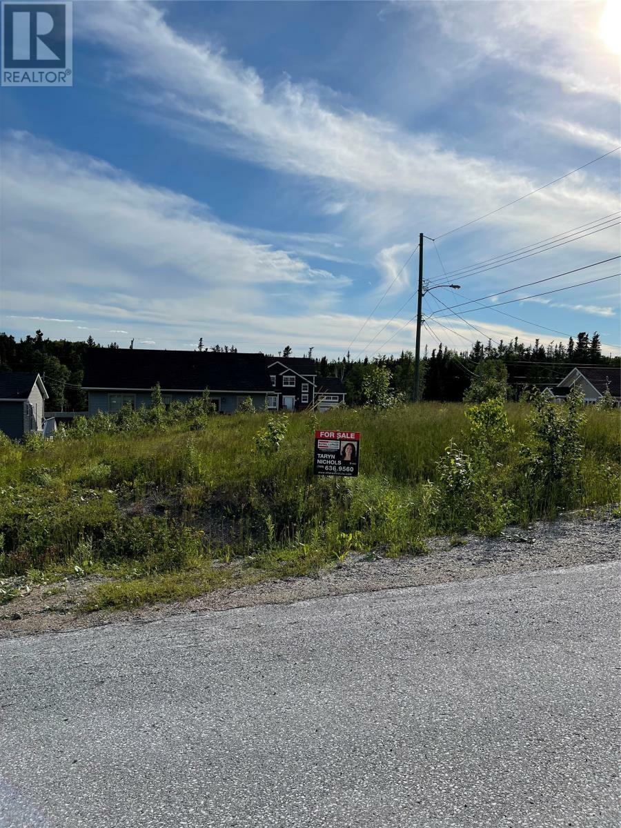 4 Jacks Place  Deer Lake NL A8A 0B6 photo