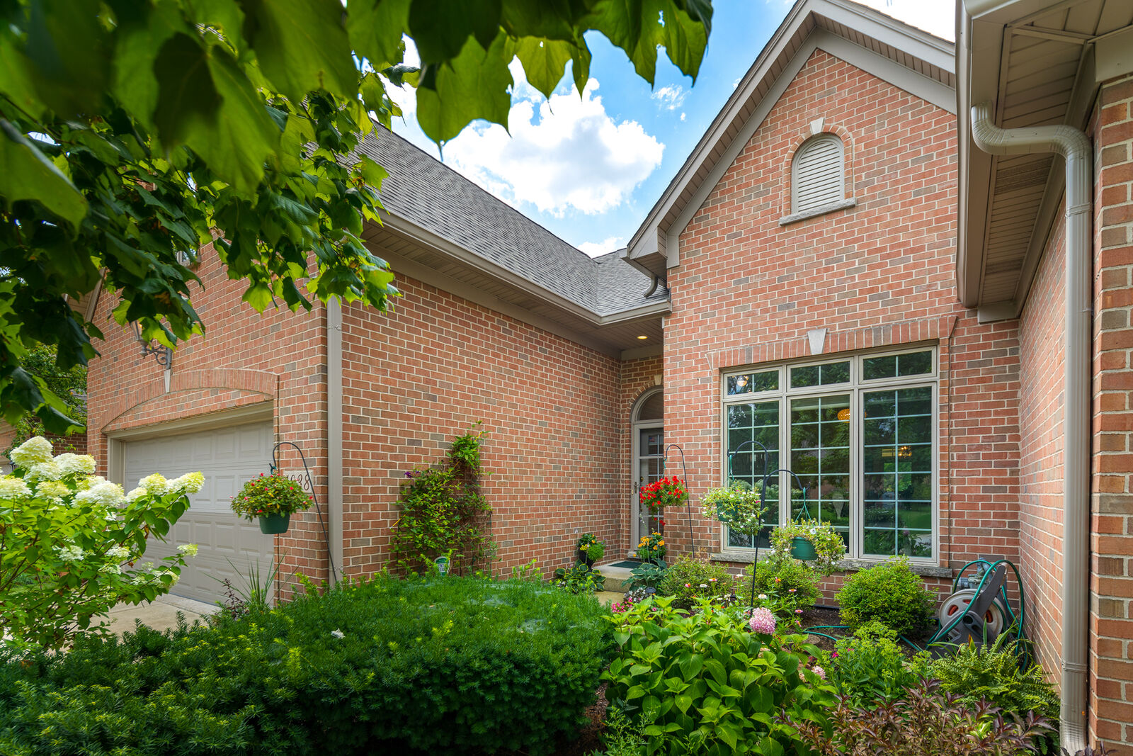 Property Photo:  1038 Catherine Avenue  IL 60540 