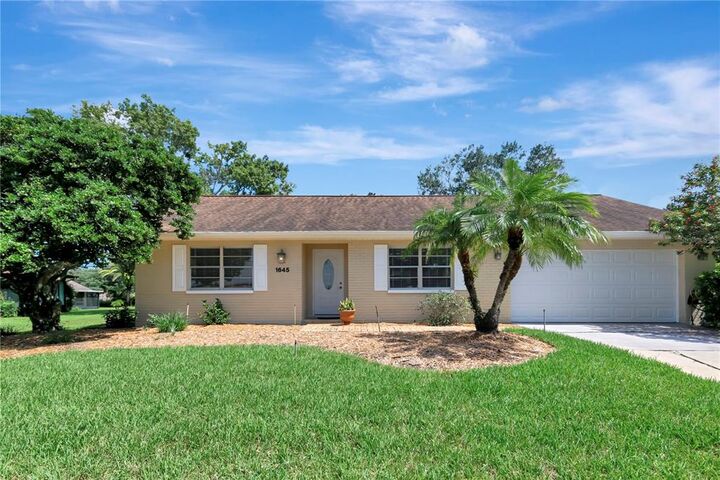 1645 Caledonia Drive  Palm Harbor FL 34684 photo