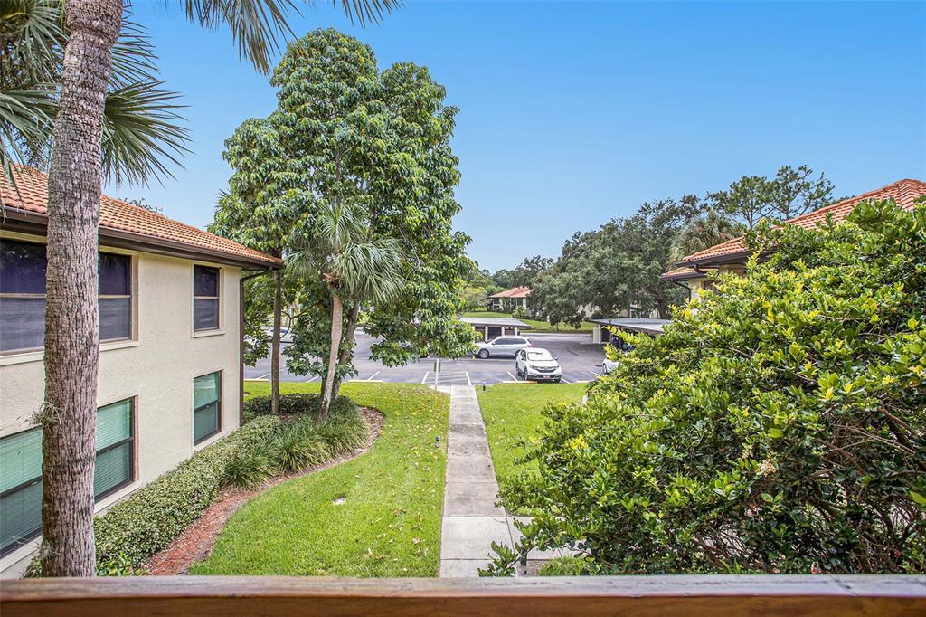 Property Photo: 513 Hammock Pine Boulevard 513 FL 33761