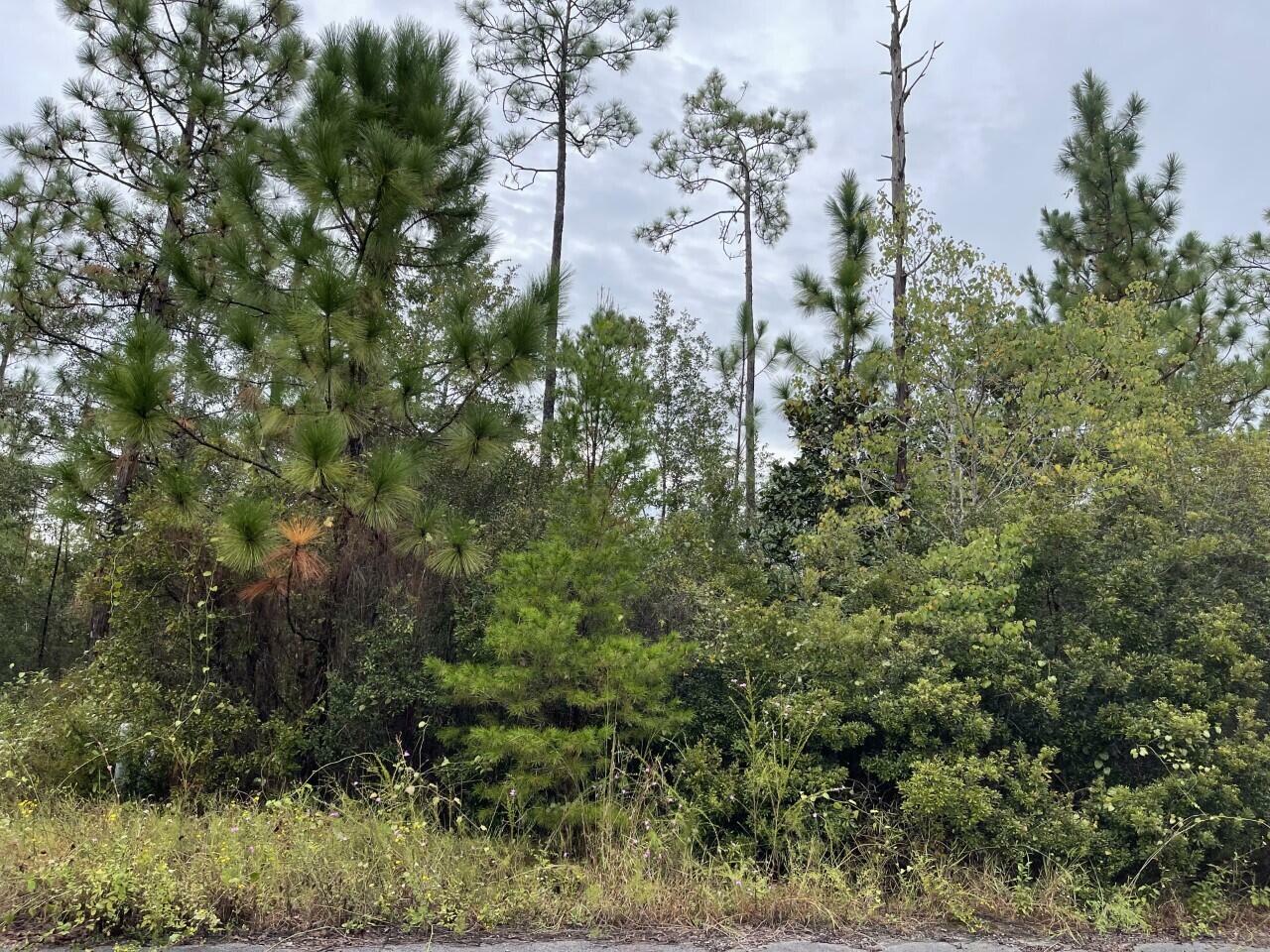 Property Photo:  Lot 8 Sandhill Court  FL 32439 