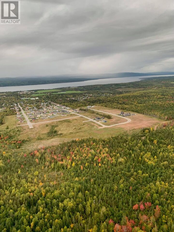 Property Photo:  20 Harvey Wight Crescent  NL A0L 1K0 
