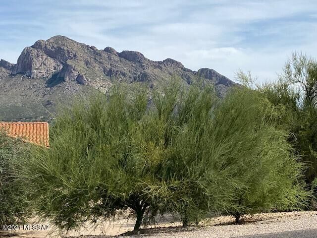 Property Photo: 10523 N Pistachio Avenue 5 AZ 85737