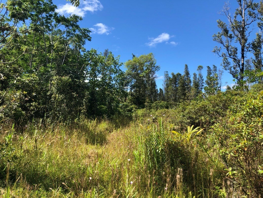 Property Photo:  Hibiscus Dr  HI 96778 