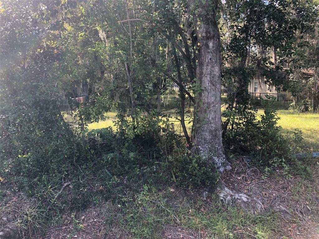 Property Photo:  350 NE 20th Terrace  FL 32641 