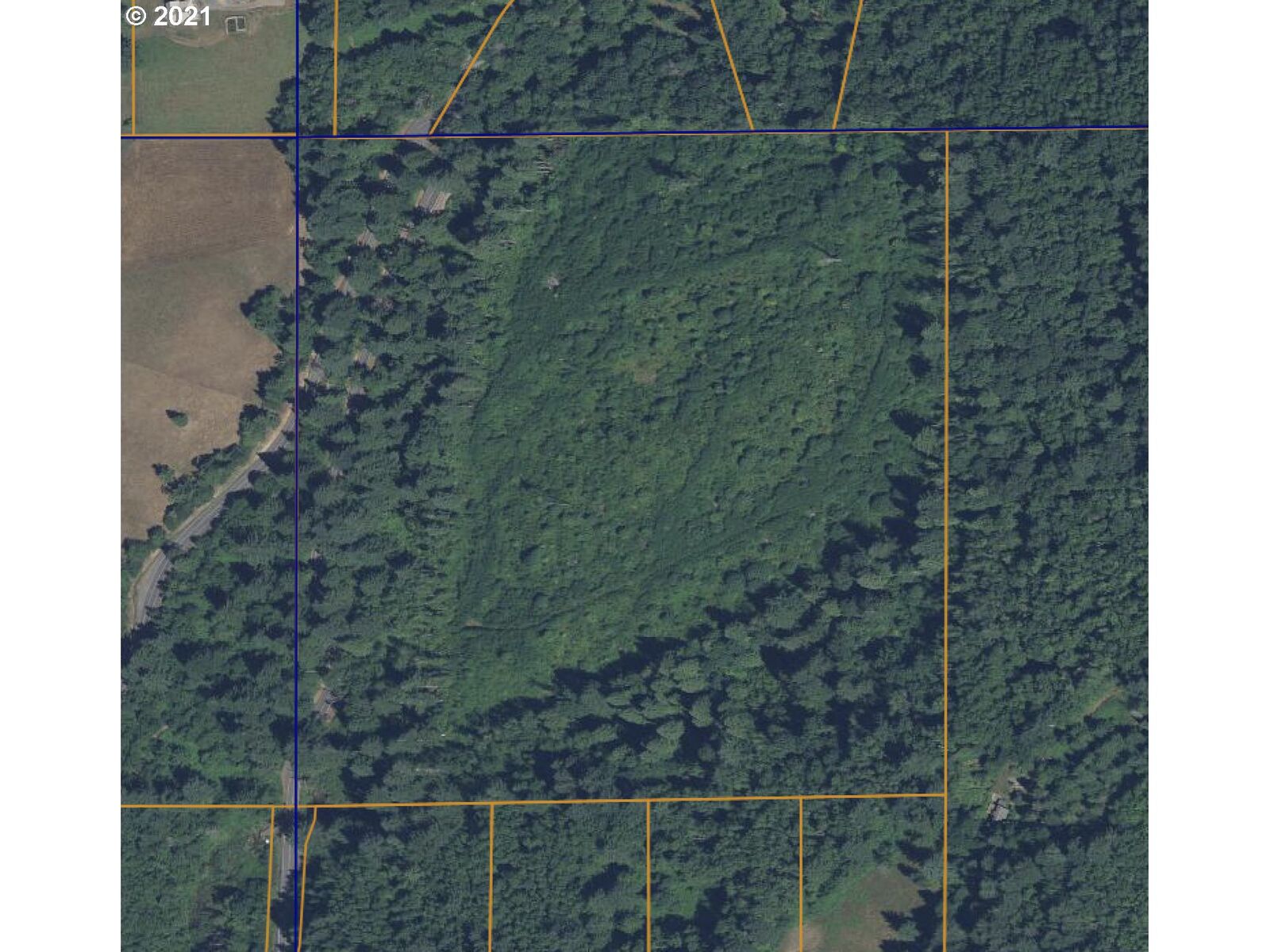 Property Photo: 1302 Salmon Falls Rd WA 98671