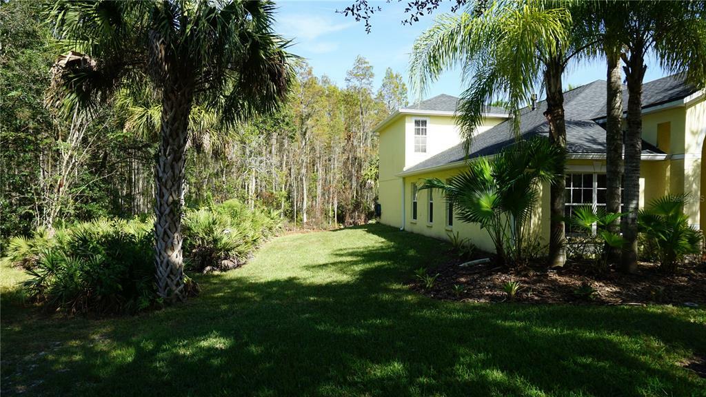 Property Photo:  19211 Cinnamon Ridge Way  FL 33647 