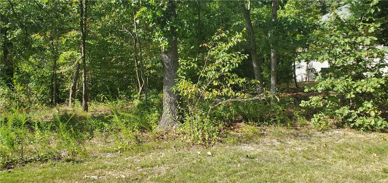 Property Photo:  Lot 11, Block 9 Romine Lane  AR 72715 