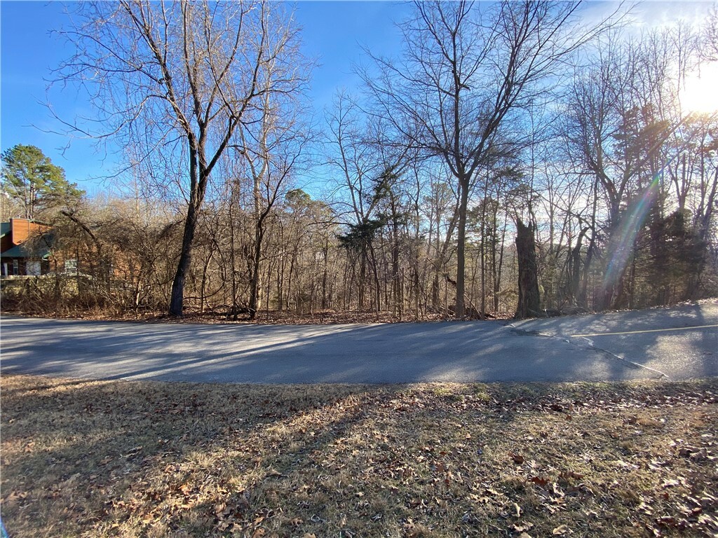 Property Photo:  Lot 33 Park Road  AR 72756 