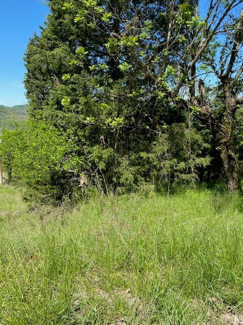 Property Photo:  81 Beaver Drive  AR 72631 