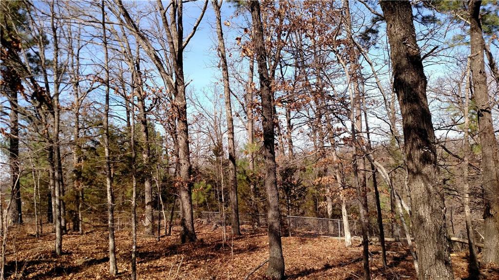 Property Photo:  Tract 2 Cooper Drive  AR 72745 