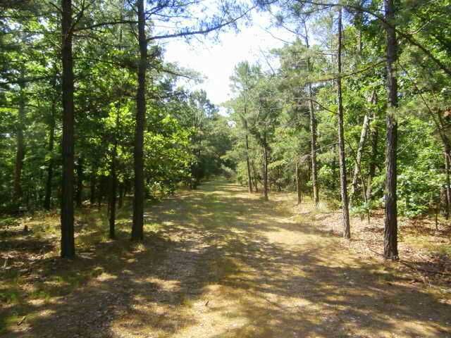 Property Photo:  Dogwood Ridge  AR 72632 