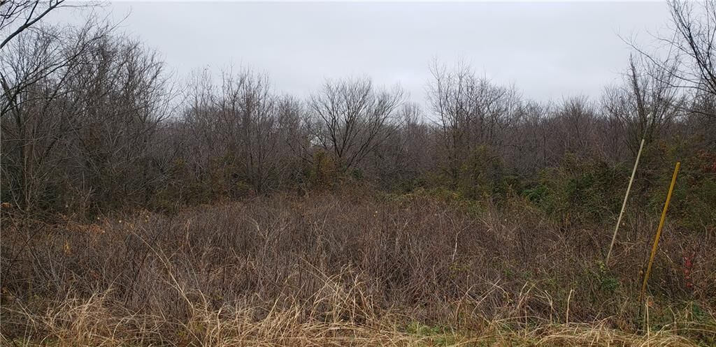 Property Photo: Lot 7 Taransay Drive AR 72715