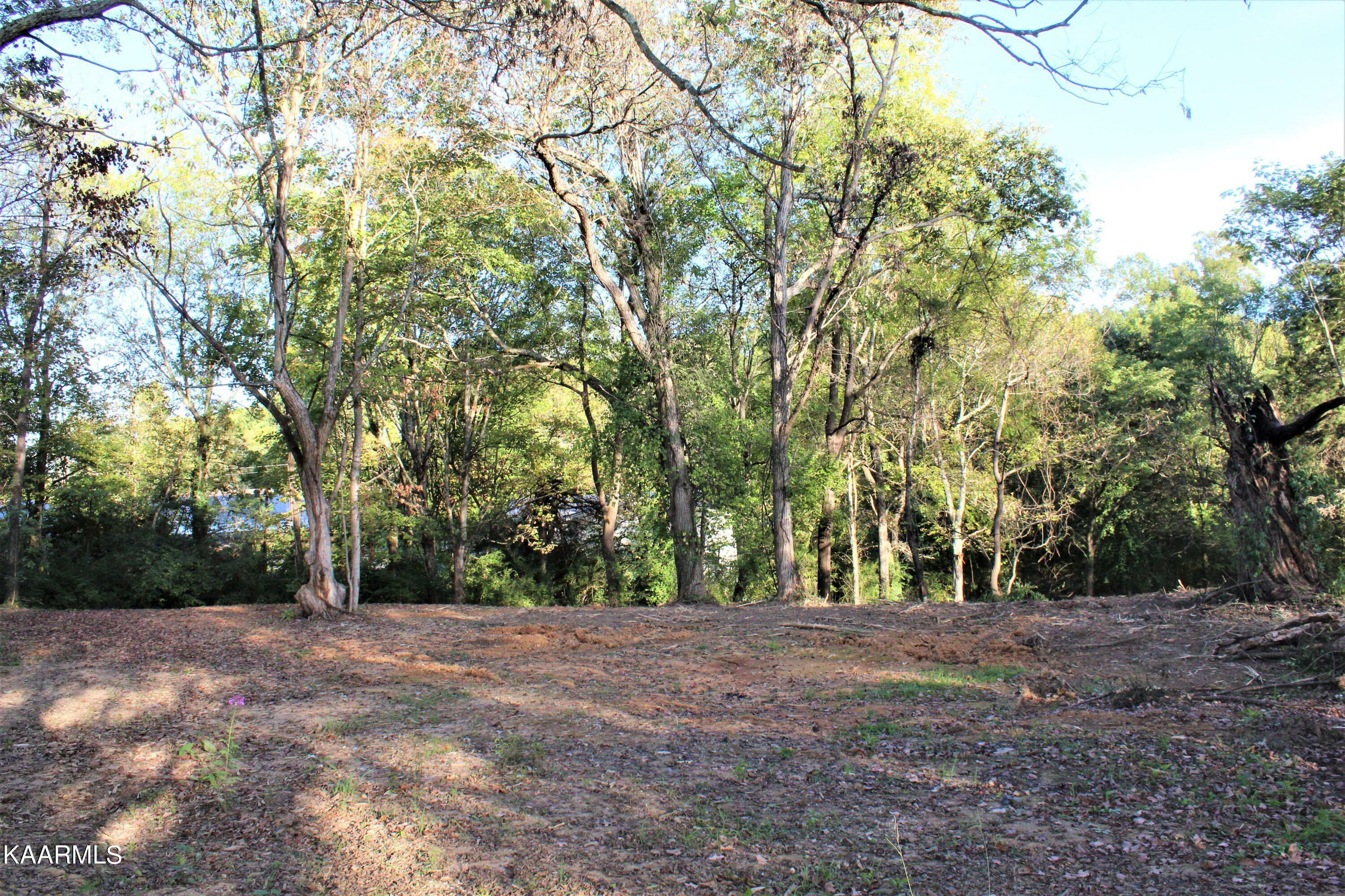 Property Photo:  424 W Ford Valley Rd  TN 37920 