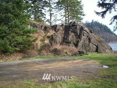 Property Photo: 160 State Rt 401 WA 98614